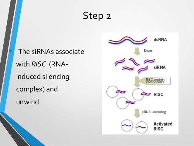 RNA Interference technology