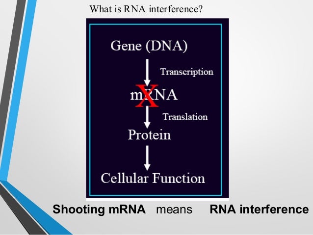 RNA Interference technology