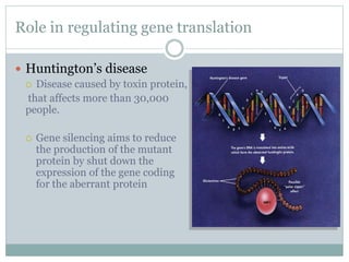 Role in regulating gene translation
 Huntington’s disease
 Disease caused by toxin protein,
that affects more than 30,000
people.
 Gene silencing aims to reduce
the production of the mutant
protein by shut down the
expression of the gene coding
for the aberrant protein
 
