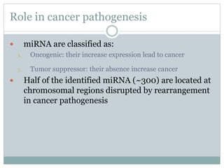 Role in cancer pathogenesis
 miRNA are classified as:
1. Oncogenic: their increase expression lead to cancer
1. Tumor suppressor: their absence increase cancer
 Half of the identified miRNA (~300) are located at
chromosomal regions disrupted by rearrangement
in cancer pathogenesis
 