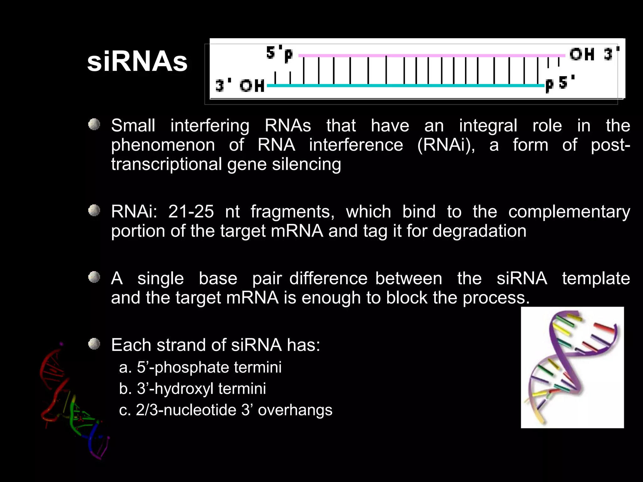 siRNAs
Small interfering RNAs that have an integral role in the
phenomenon of RNA interference (RNAi), a form of post-
transcriptional gene silencing
RNAi: 21-25 nt fragments, which bind to the complementary
portion of the target mRNA and tag it for degradation
A single base pair difference between the siRNA template
and the target mRNA is enough to block the process.
Each strand of siRNA has:
a. 5’-phosphate termini
b. 3’-hydroxyl termini
c. 2/3-nucleotide 3’ overhangs
 