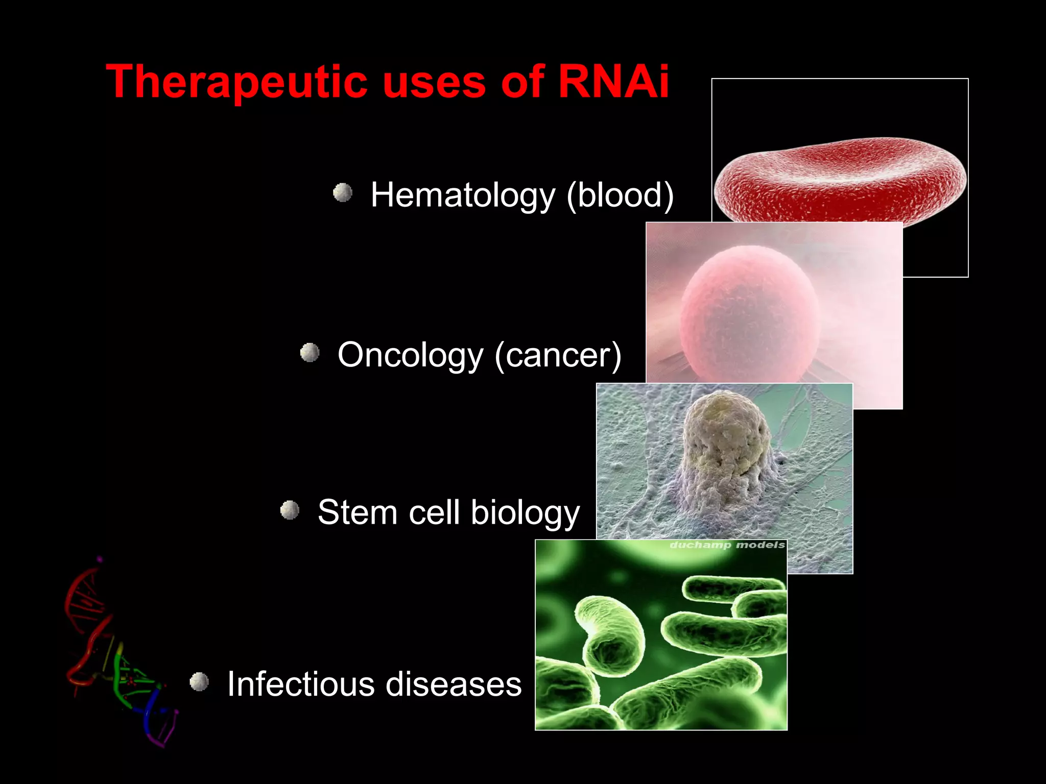 Therapeutic uses of RNAi
Hematology (blood)
Oncology (cancer)
Stem cell biology
Infectious diseases
 