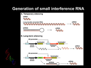 Generation of small interference RNA
 