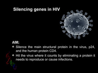 Silencing genes in HIV
AIM:
Silence the main structural protein in the virus, p24,
and the human protein CD4.
Hit the virus where it counts by eliminating a protein it
needs to reproduce or cause infections.
 