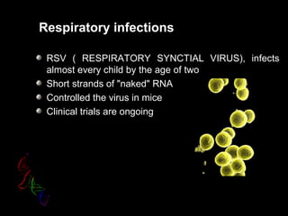 Respiratory infections
RSV ( RESPIRATORY SYNCTIAL VIRUS), infects
almost every child by the age of two
Short strands of "naked" RNA
Controlled the virus in mice
Clinical trials are ongoing
 