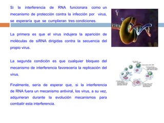 Si  la  interferencia  de  RNA  funcionara  como un mecanismo de protección contra la infección por  virus,  se  esperaría  que  se  cumplieran  tres condiciones. La primera es que el virus indujera la aparición de moléculas de siRNA dirigidas contra la secuencia del propio virus. La segunda condición es que cualquier bloqueo del mecanismo de interferencia favorecería la replicación del virus. Finalmente,  sería  de  esperar  que,  si  la  interferencia de RNA fuera un mecanismo antiviral, los virus, a su vez, adquirieran durante la evolución mecanismos para combatir esta interferencia. 