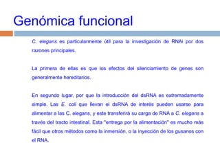 Genómica funcionalC. eleganses particularmente útil para la investigación de RNAi por dos razones principales.La primera de ellas es que los efectos del silenciamiento de genes son generalmente hereditarios.En segundo lugar, por que la introducción del dsRNA es extremadamente simple. Las E. colique llevan el dsRNA de interés pueden usarse para alimentar a las C. elegans, y este transferirá su carga de RNA a C. elegansa través del tracto intestinal. Esta "entrega por la alimentación" es mucho más fácil que otros métodos como la inmersión, o la inyección de los gusanos con el RNA.