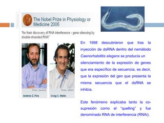 En 1998 descubrieron que tras la inyección de dsRNA dentro del nemátodo Caenorhabditis elegans se producía un silenciamiento de la expresión de genes que era específico de secuencia, es decir, que la expresión del gen que presenta la misma secuencia que el dsRNA se inhibía. Este fenómeno explicaba tanto la co-supresión como el “quelling” y fue denominado RNA de interferencia (RNAi). 