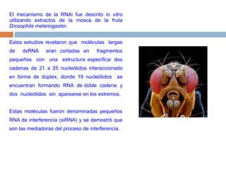 El mecanismo de la RNAi fue descrito in vitro utilizando extractos de la mosca de la fruta Drosophila melanogaster. Estos estudios revelaron que  moléculas  largas  de  dsRNA  eran cortadas en  fragmentos  pequeños  con  una  estructura específica: dos cadenas de 21 a 25 nucleótidos interaccionado en forma de dúplex, donde 19 nucleótidos  se  encuentran  formando  RNA  de doble  cadena  y  dos  nucleótidos  sin  aparearse en los extremos.Estas moléculas fueron denominadas pequeños RNA de interferencia (siRNA) y se demostró que son las mediadoras del proceso de interferencia. 