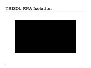 TRIZOL RNA Isolation
 