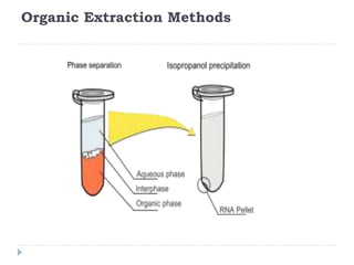 Organic Extraction Methods
 
