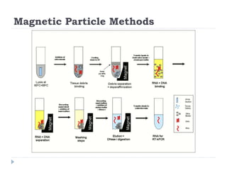Magnetic Particle Methods
 