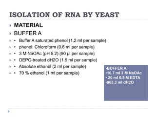 ISOLATION OF RNA BY YEAST
 MATERIAL
 BUFFER A
 • Buffer A saturated phenol (1.2 ml per sample)
 • phenol: Chloroform (0.6 ml per sample)
 • 3 M NaOAc (pH 5.2) (90 µl per sample)
 • DEPC-treated dH2O (1.5 ml per sample)
 • Absolute ethanol (2 ml per sample)
 • 70 % ethanol (1 ml per sample)
•BUFFER A
•16.7 ml 3 M NaOAc
• 20 ml 0.5 M EDTA
•963.3 ml dH2O
 