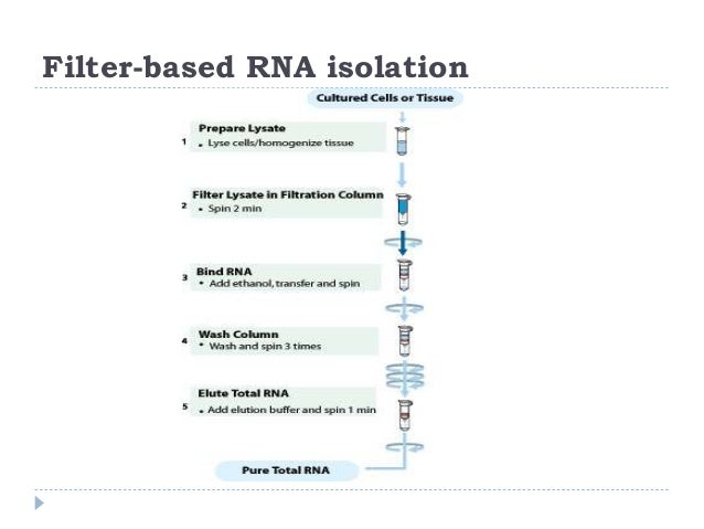 RNA isolation