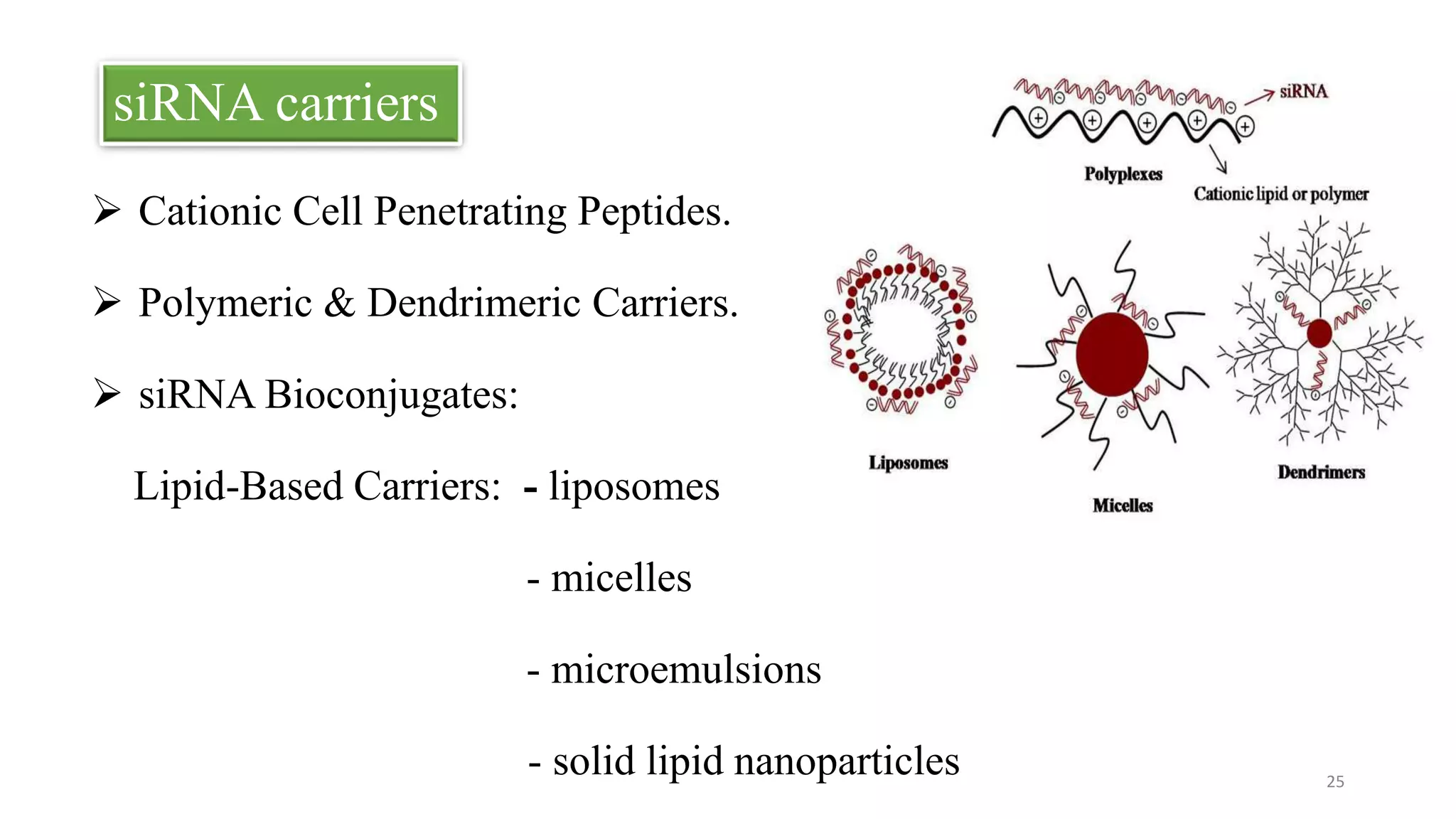 RNA INTERFERENCE TECHNOLOGY | PPT