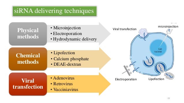 RNA INTERFERENCE TECHNOLOGY