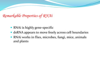 Remarkable Properties of RNAi
 RNAi is highly gene-specific
 dsRNA appears to move freely across cell boundaries
 RNAi works in flies, microbes, fungi, mice, animals
and plants
 