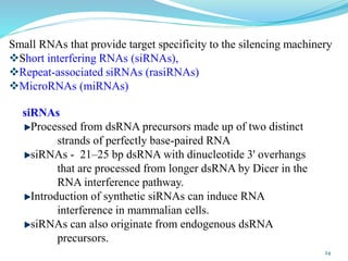 24
Small RNAs that provide target specificity to the silencing machinery
Short interfering RNAs (siRNAs),
Repeat-associated siRNAs (rasiRNAs)
MicroRNAs (miRNAs)
siRNAs
Processed from dsRNA precursors made up of two distinct
strands of perfectly base-paired RNA
siRNAs - 21–25 bp dsRNA with dinucleotide 3' overhangs
that are processed from longer dsRNA by Dicer in the
RNA interference pathway.
Introduction of synthetic siRNAs can induce RNA
interference in mammalian cells.
siRNAs can also originate from endogenous dsRNA
precursors.
 