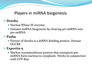 Players in miRNA biogenesis
 Drosha
 Nuclear RNase III enzyme.
 Initiates miRNA biogenesis by cleaving pri-miRNA into
pre-miRNA
 Pasha
 Partner of drosha is a dsRNA binding protein. Human
DGCR8
 Exportin-5
 Nuclear transmembrane protein that transports pre-
miRNA form nucleus to cytoplasm. Works in conjunction
with GTP-Ran
 