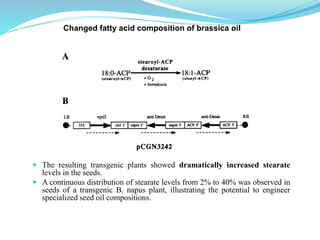 Changed fatty acid composition of brassica oil
 The resulting transgenic plants showed dramatically increased stearate
levels in the seeds.
 A continuous distribution of stearate levels from 2% to 40% was observed in
seeds of a transgenic B. napus plant, illustrating the potential to engineer
specialized seed oil compositions.
 