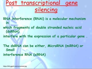 Antisence RNA and RNA Interference Technology | PPT