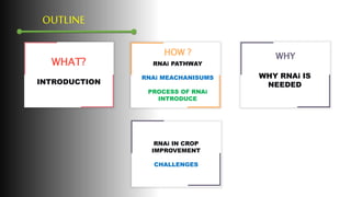 RNA interference in Crop Improvement | PPTX