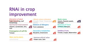 RNA interference in Crop Improvement | PPTX