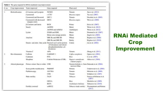 RNA interference in Crop Improvement | PPTX