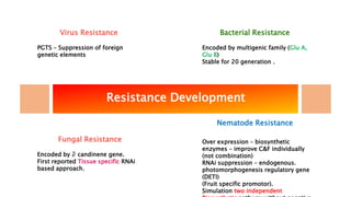 RNA interference in Crop Improvement | PPTX