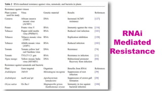RNA interference in Crop Improvement | PPTX