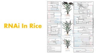 RNA interference in Crop Improvement | PPTX