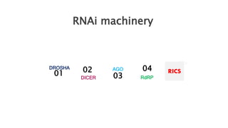 RNA interference in Crop Improvement | PPTX