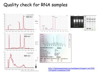 RNA lab 021215.pptx