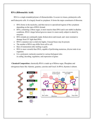 RNA notes detail notes bsc 5th sem jammu university | PDF