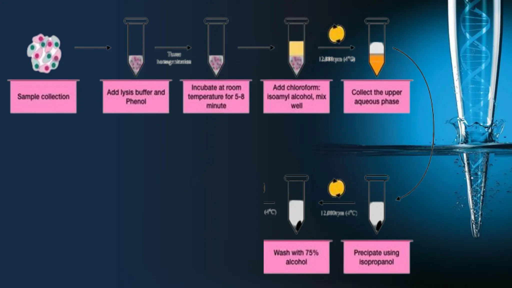 RNA organic extraction.pdf