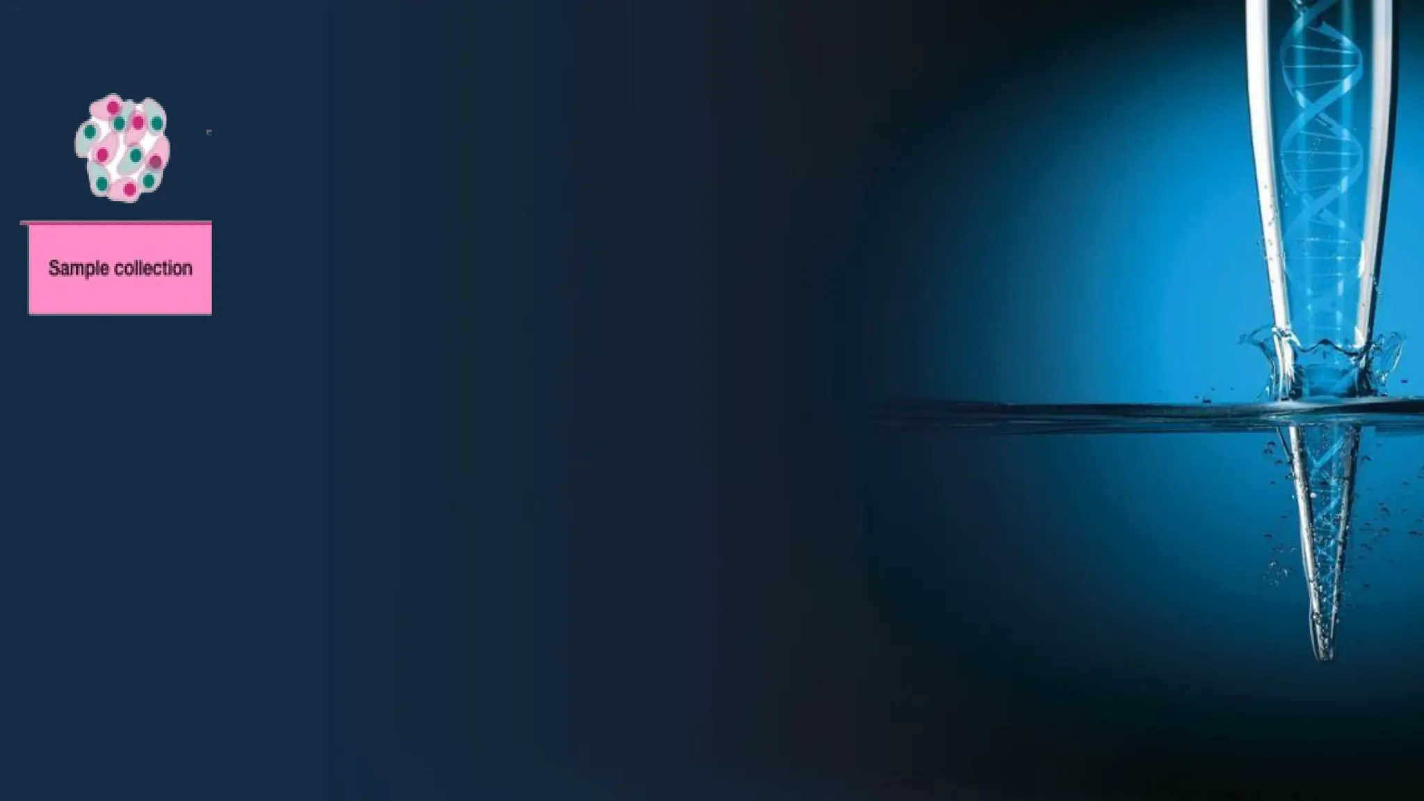 RNA organic extraction.pdf