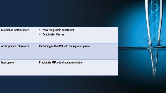 RNA organic extraction.pdf