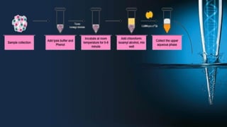 RNA organic extraction.pdf