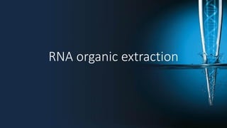 RNA organic extraction
 