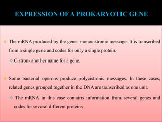  The mRNA produced by the gene- monocistronic message. It is transcribed
from a single gene and codes for only a single protein.
 Cistron- another name for a gene.
 Some bacterial operons produce polycistronic messages. In these cases,
related genes grouped together in the DNA are transcribed as one unit.
 The mRNA in this case contains information from several genes and
codes for several different proteins
 