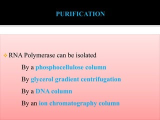  RNA Polymerase can be isolated
By a phosphocellulose column
By glycerol gradient centrifugation
By a DNA column
By an ion chromatography column
 