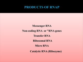 Messenger RNA
Non-coding RNA or "RNA genes
Transfer RNA
Ribosomal RNA
Micro RNA
Catalytic RNA (Ribozyme)
 