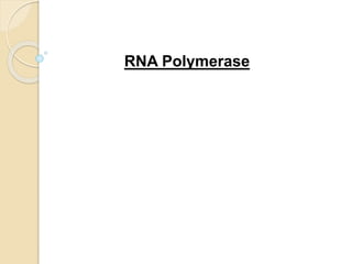 RNA Polymerase
 