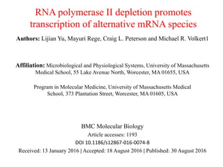 RNA polymerase II depletion promotes
transcription of alternative mRNA species
Authors: Lijian Yu, Mayuri Rege, Craig L. Peterson and Michael R. Volkert1
Affiliation: Microbiological and Physiological Systems, University of Massachusetts
Medical School, 55 Lake Avenue North, Worcester, MA 01655, USA
Program in Molecular Medicine, University of Massachusetts Medical
School, 373 Plantation Street, Worcester, MA 01605, USA
BMC Molecular Biology
Article accesses: 1193
DOI 10.1186/s12867-016-0074-8
Received: 13 January 2016 | Accepted: 18 August 2016 | Published: 30 August 2016
 