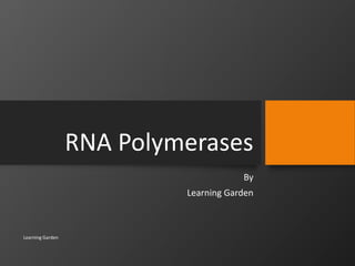 RNA Polymerases
By
Learning Garden
Learning Garden
 