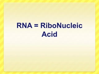 RNA = RiboNucleic
Acid
 