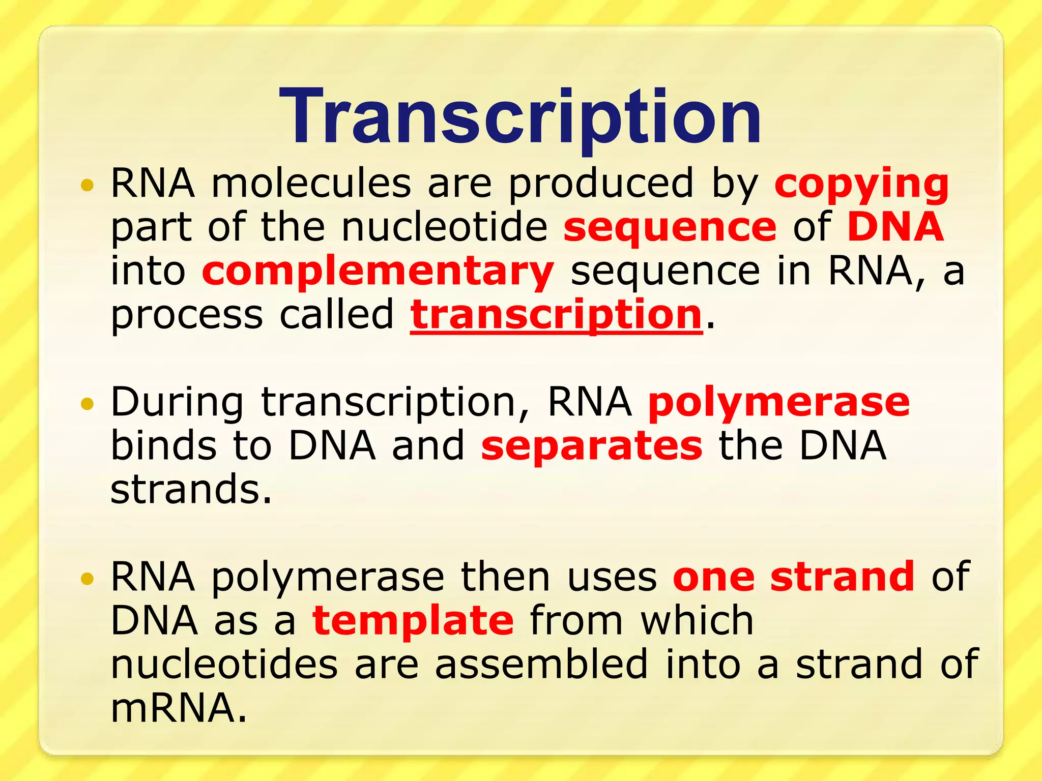 Rna Picture Powerpoint Format RNA PowerPoint.ppt
