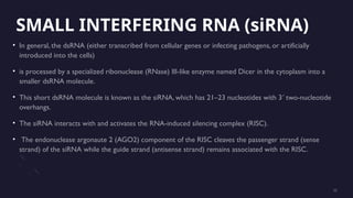 Short Dsrna Dive into the fascinating world of RNA, the molecular architect of life ...