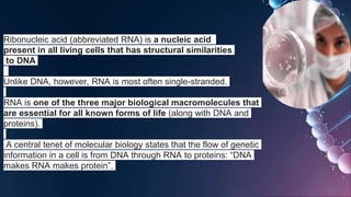 Ribonucleic acid (abbreviated RNA) is a nucleic acid
present in all living cells that has structural similarities
to DNA
Unlike DNA, however, RNA is most often single-stranded.
RNA is one of the three major biological macromolecules that
are essential for all known forms of life (along with DNA and
proteins).
A central tenet of molecular biology states that the flow of genetic
information in a cell is from DNA through RNA to proteins: “DNA
makes RNA makes protein”.
 