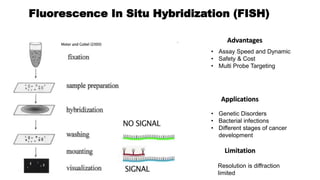 Molecular RNA Probe | PPTX